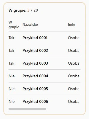 Podgląd składu: licznik oraz przypisania bez zaznaczania i zapisu.